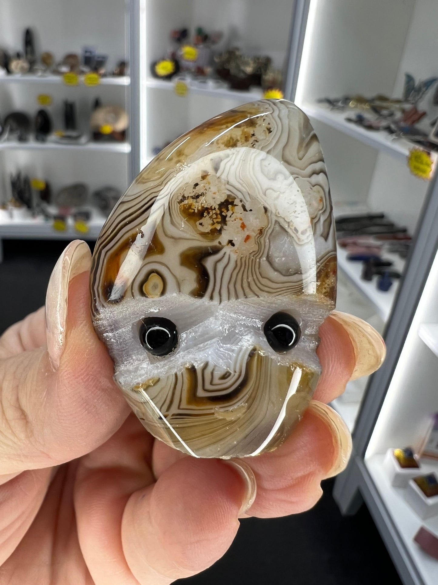 Sardonyx Little Guy