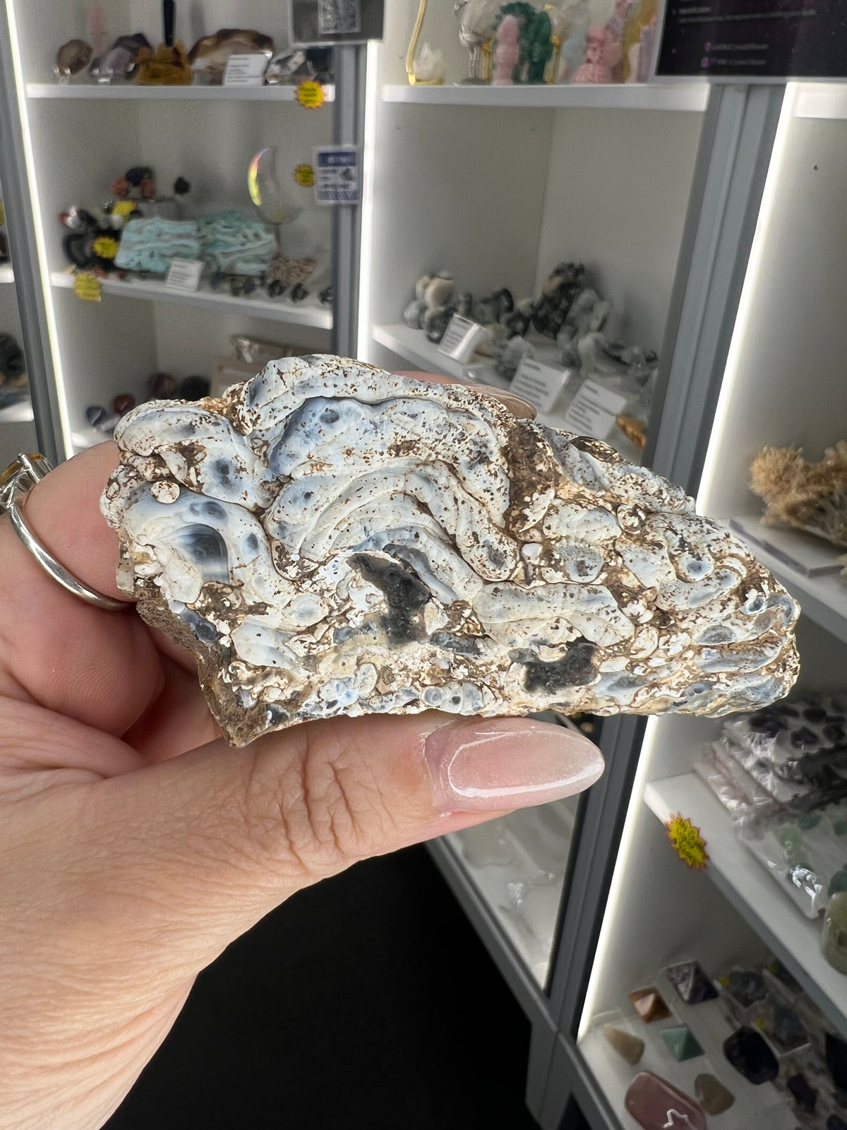 Mexican Agate Geode