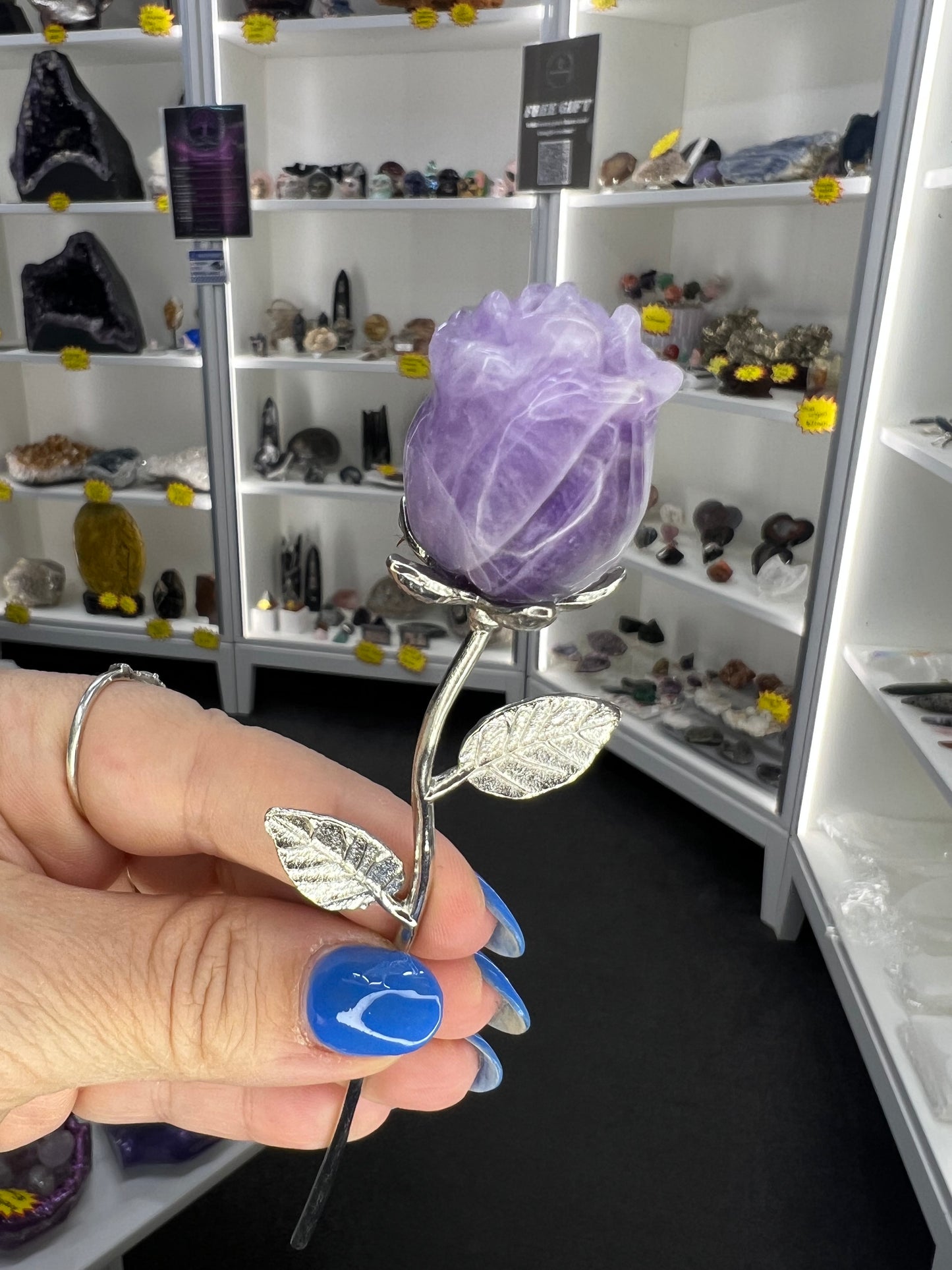 Chevron / Dream Amethyst Forever Rose