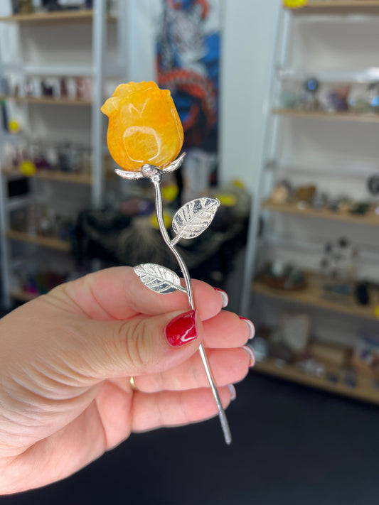Golden Healer Forever Rose