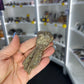 Jimbacriinus Bostocki Crinoid in Matrix