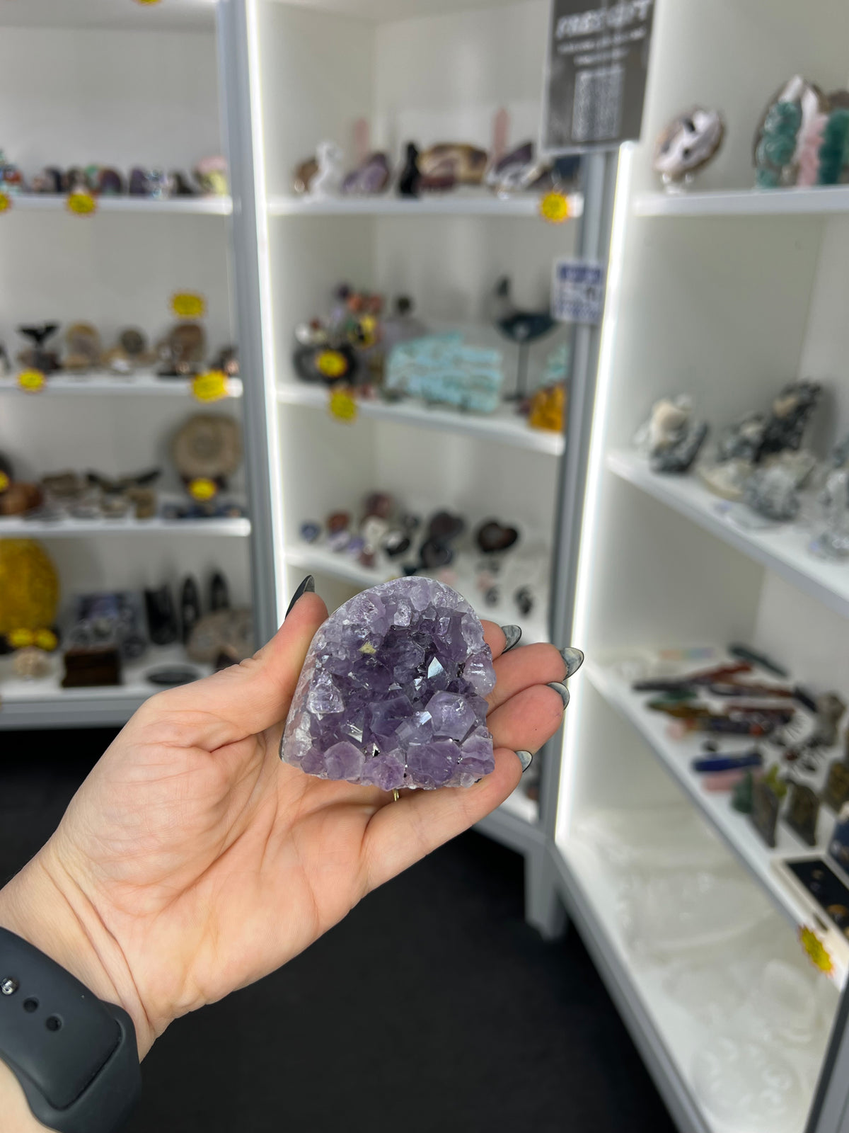 Amethyst Cluster Specimen
