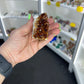 Citrine Cluster