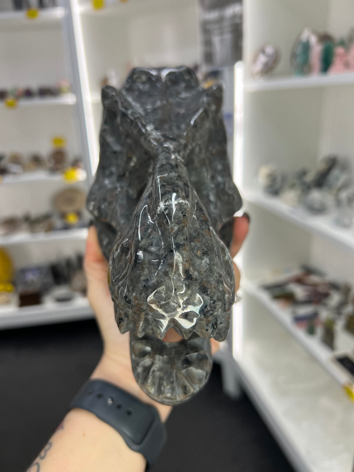 Yooperlite Dinosaur Skull (UV Reactive)
