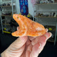 Sunstone Frog