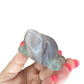 Fluorite Turtle