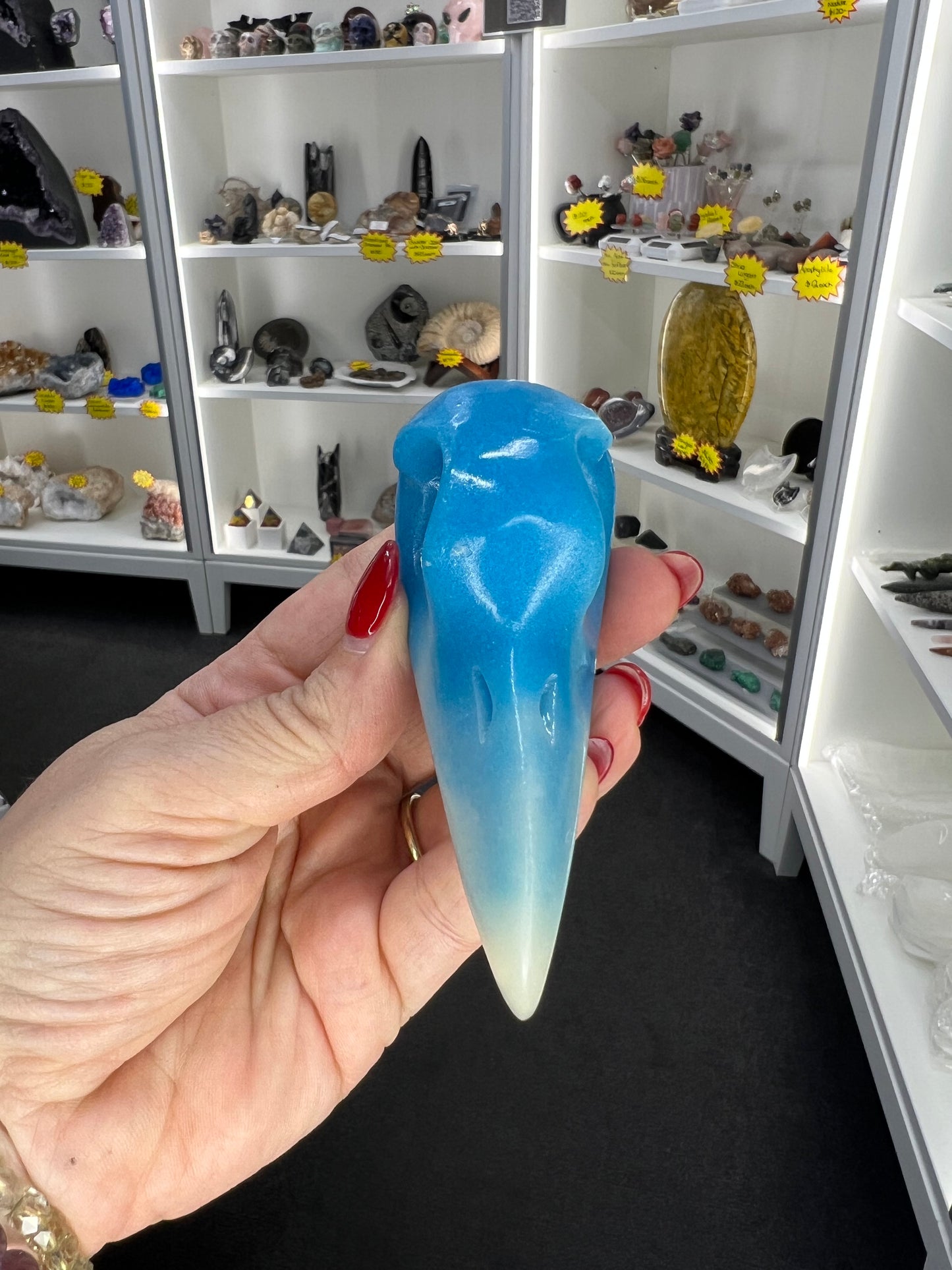 Luminous Crow Skull (Glow in the Dark)