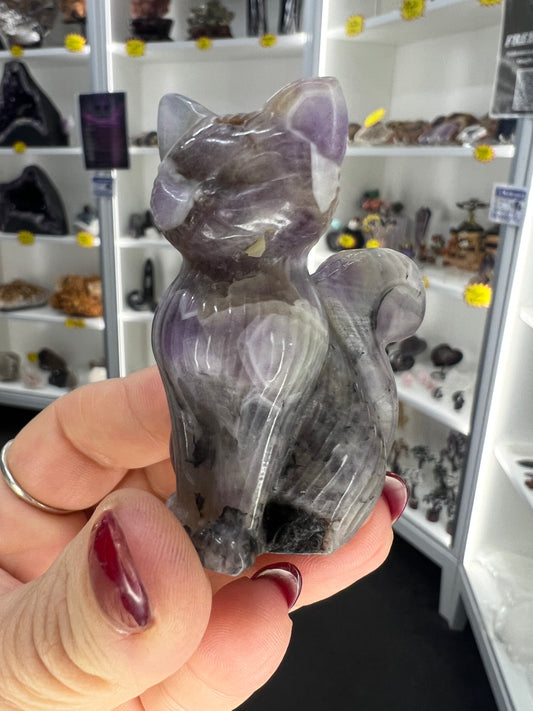 Chevron / Dream Amethyst Cat