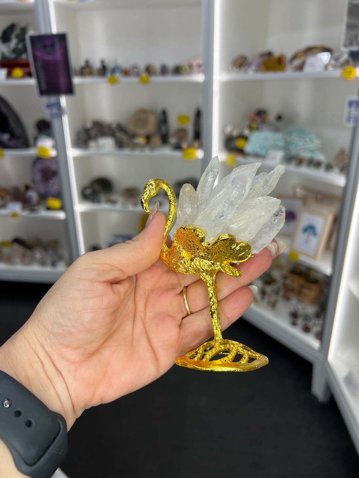 Clear Quartz Cluster on Gold Flamingo