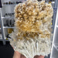 Gypsum Cluster Specimen