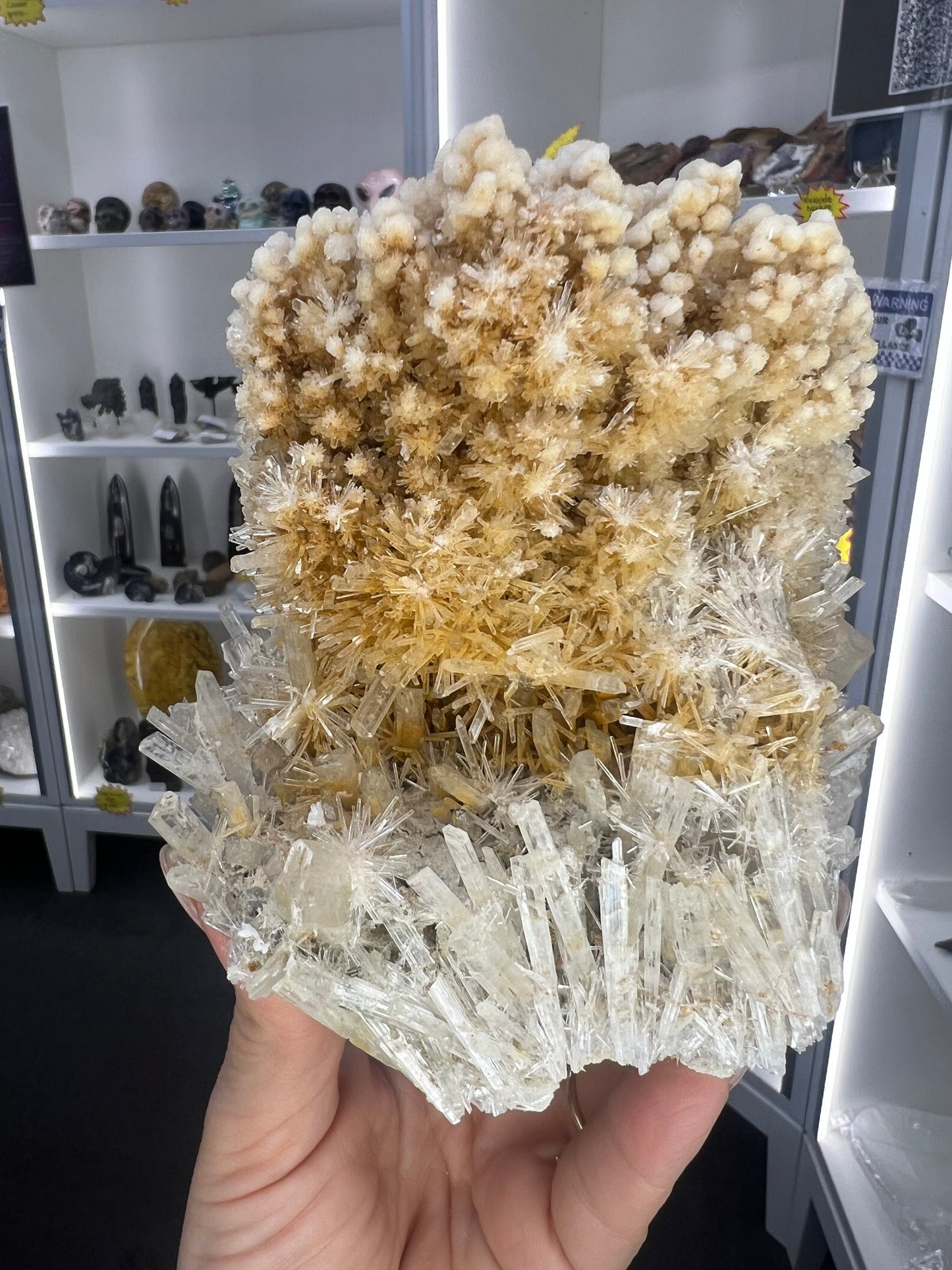 Gypsum Cluster Specimen