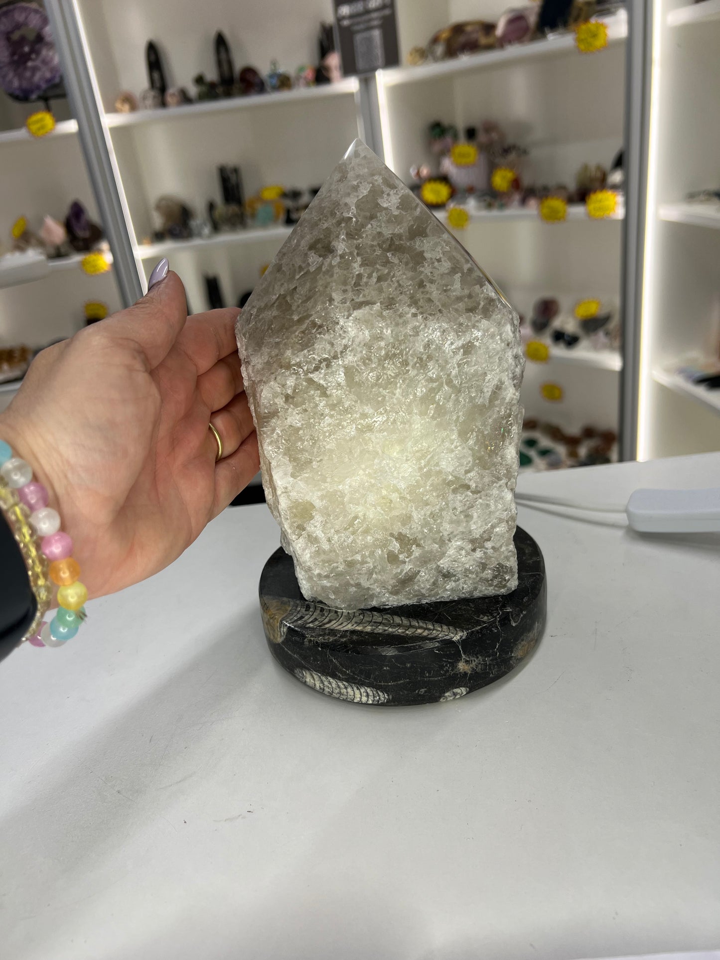 Smoky Quartz Point Lamp on Fossil Orthoceras Base