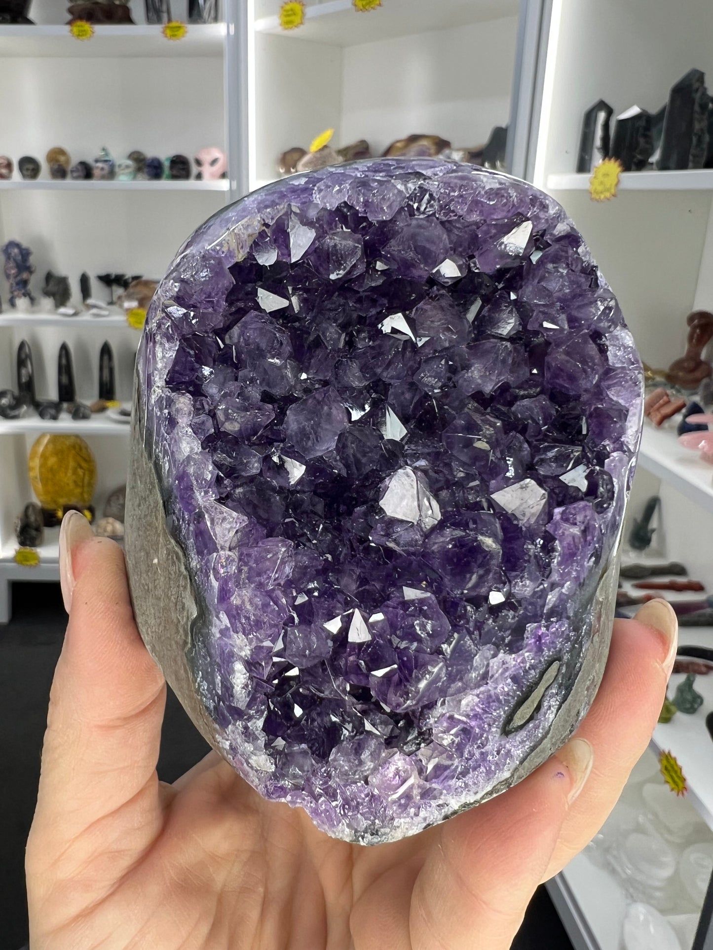 Amethyst Cluster Specimen