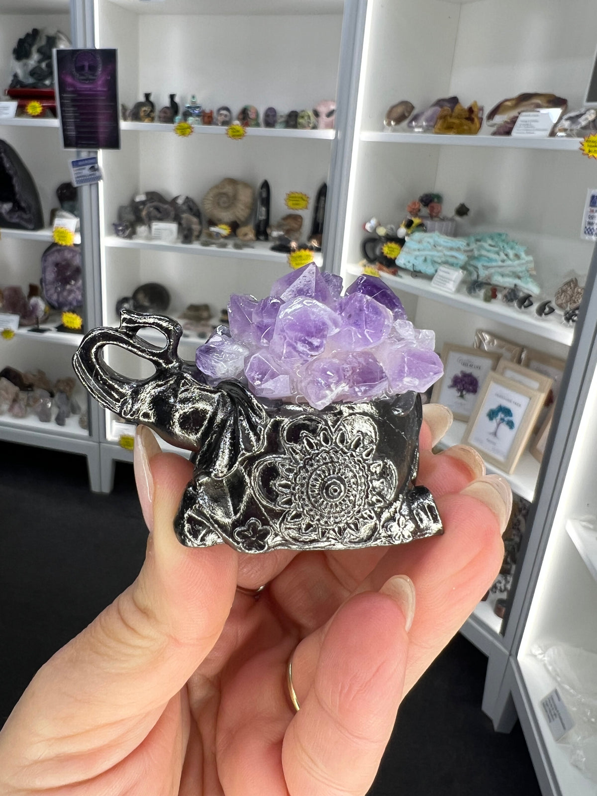 Amethyst Cluster on Grey Elephant