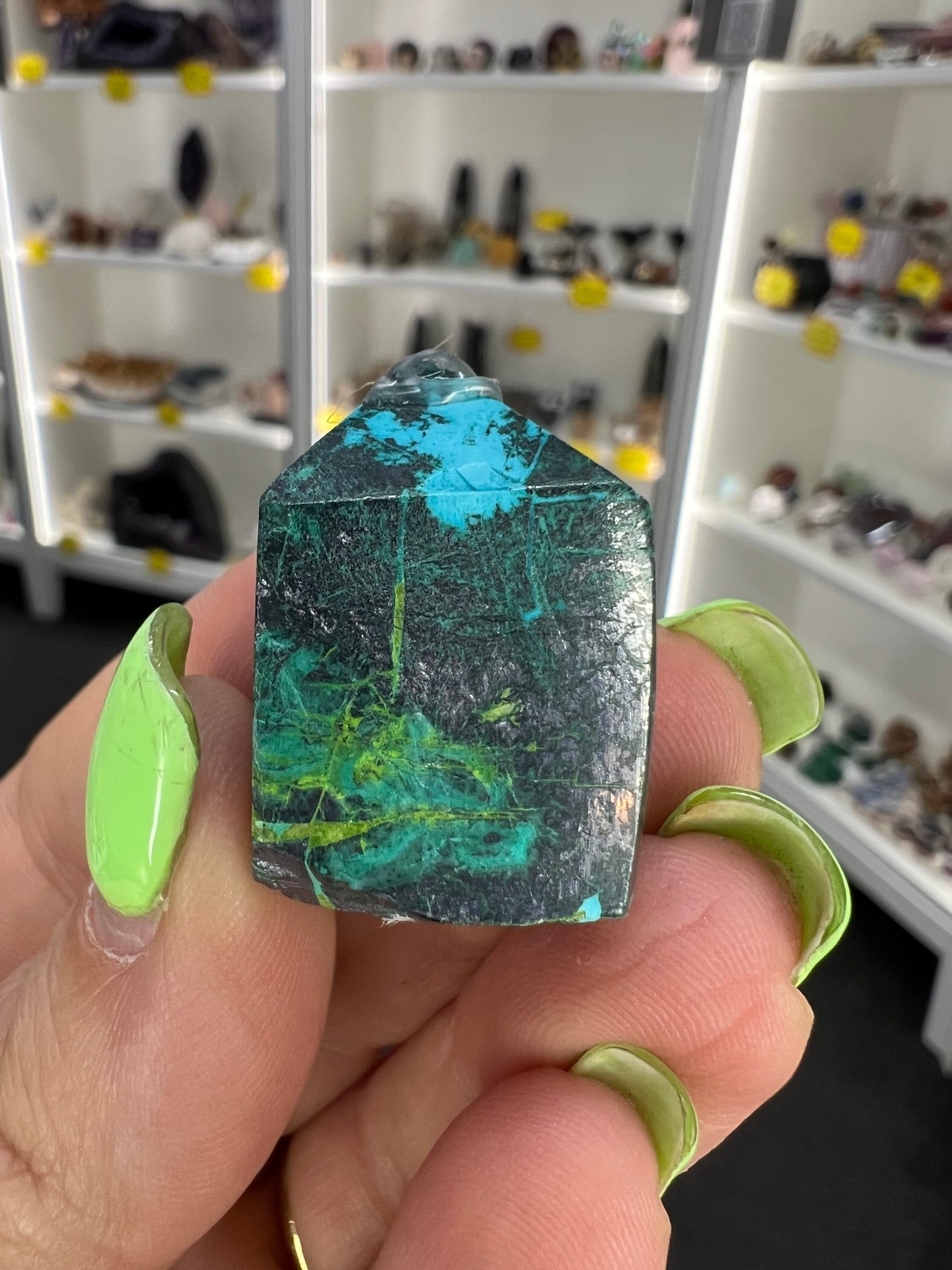 Phoenix Turquoise Point