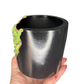 Peridot Pot