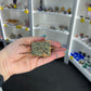 Pyrite Wheelbarrow