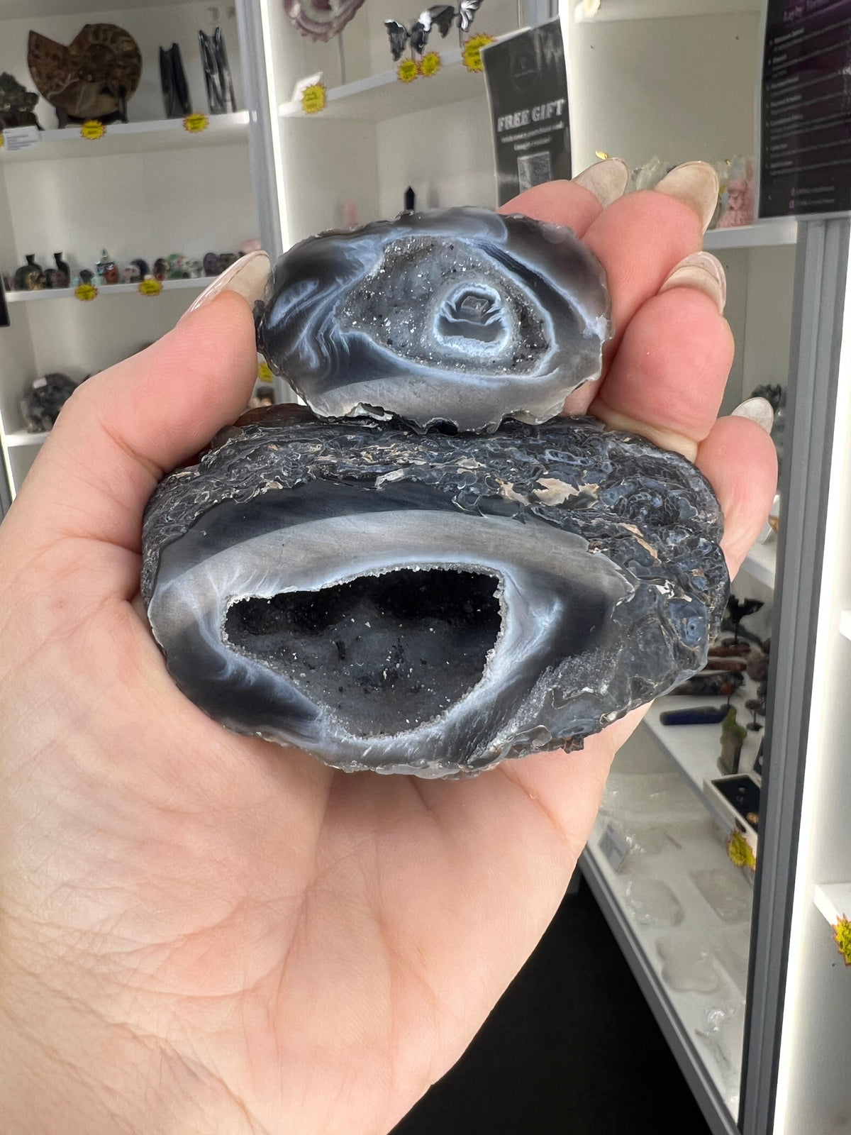 Mexican Agate Geode