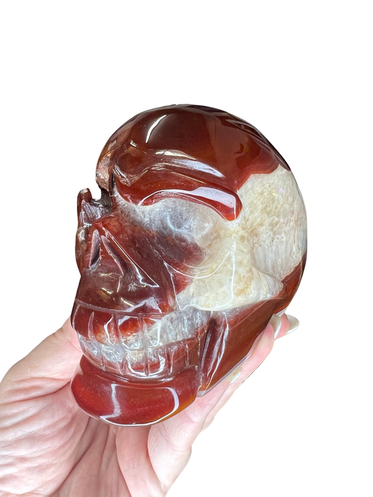 Carnelian Skull Carving