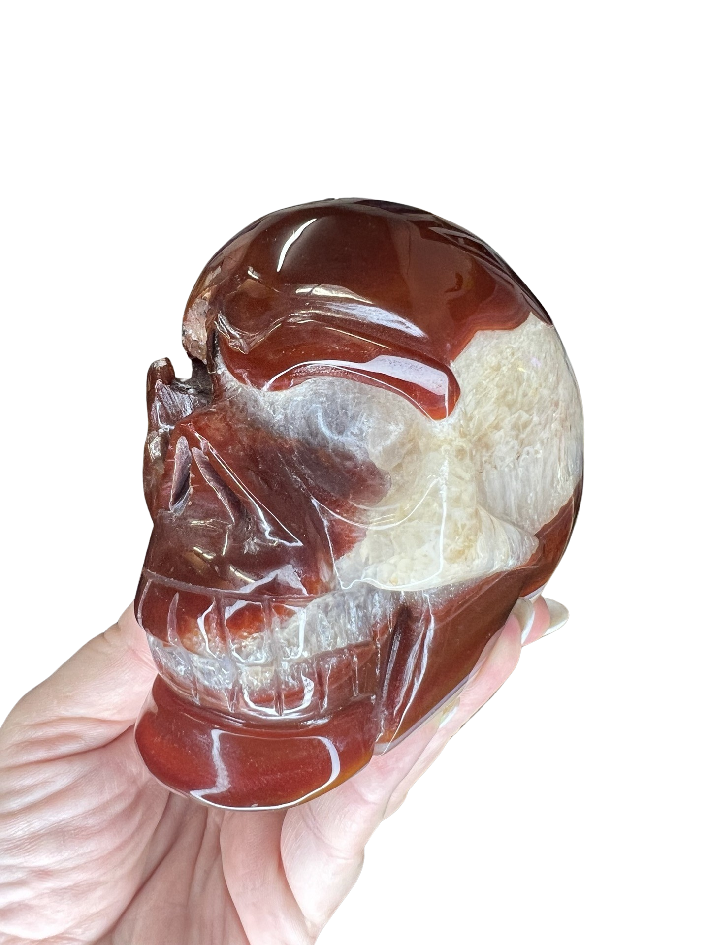 Carnelian Skull Carving