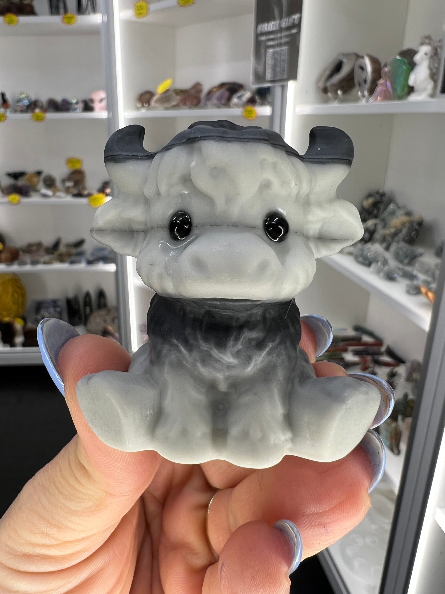 Taichi Jasper Highland Cow
