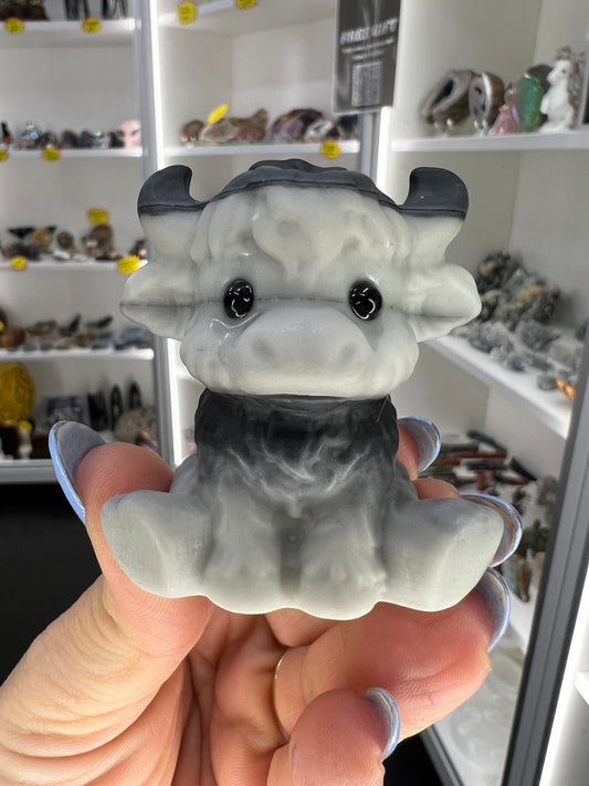 Taichi Jasper Highland Cow