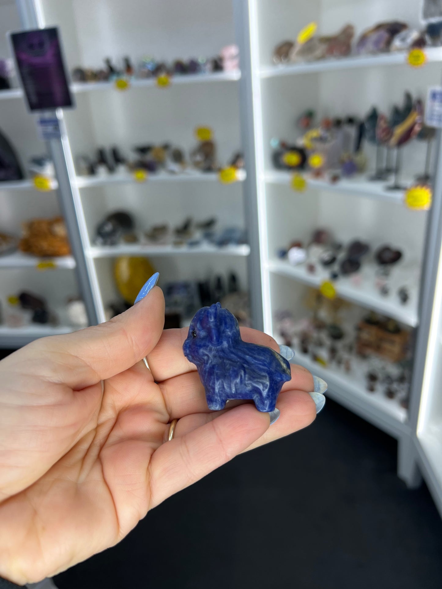 Sodalite Highland Cow