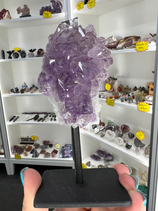 Amethyst Cluster on Stand