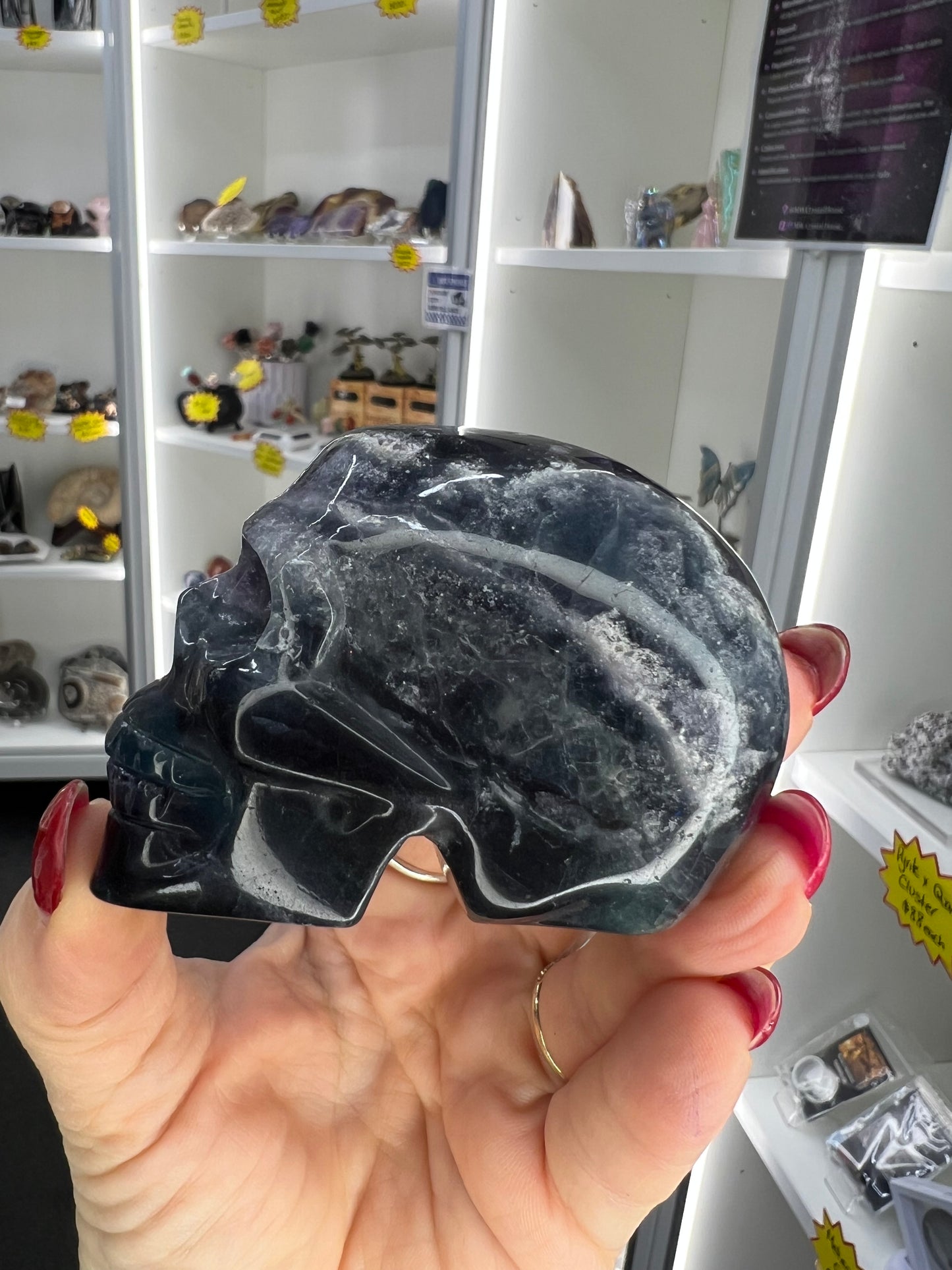 Black Fluorite Skull (UV Reactive)
