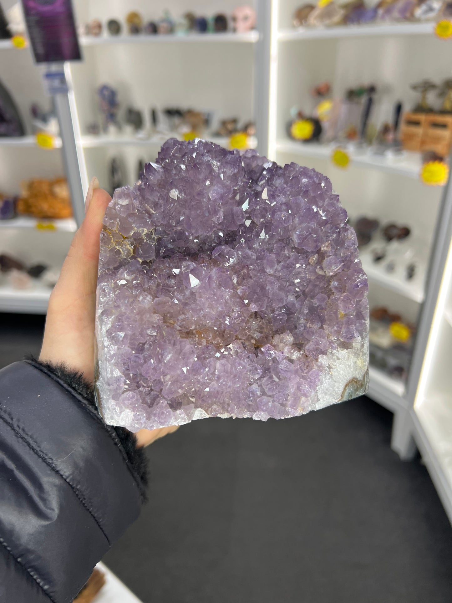 Amethyst Cluster Specimen