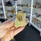 Mosasaurus Anceps Tooth in Matrix