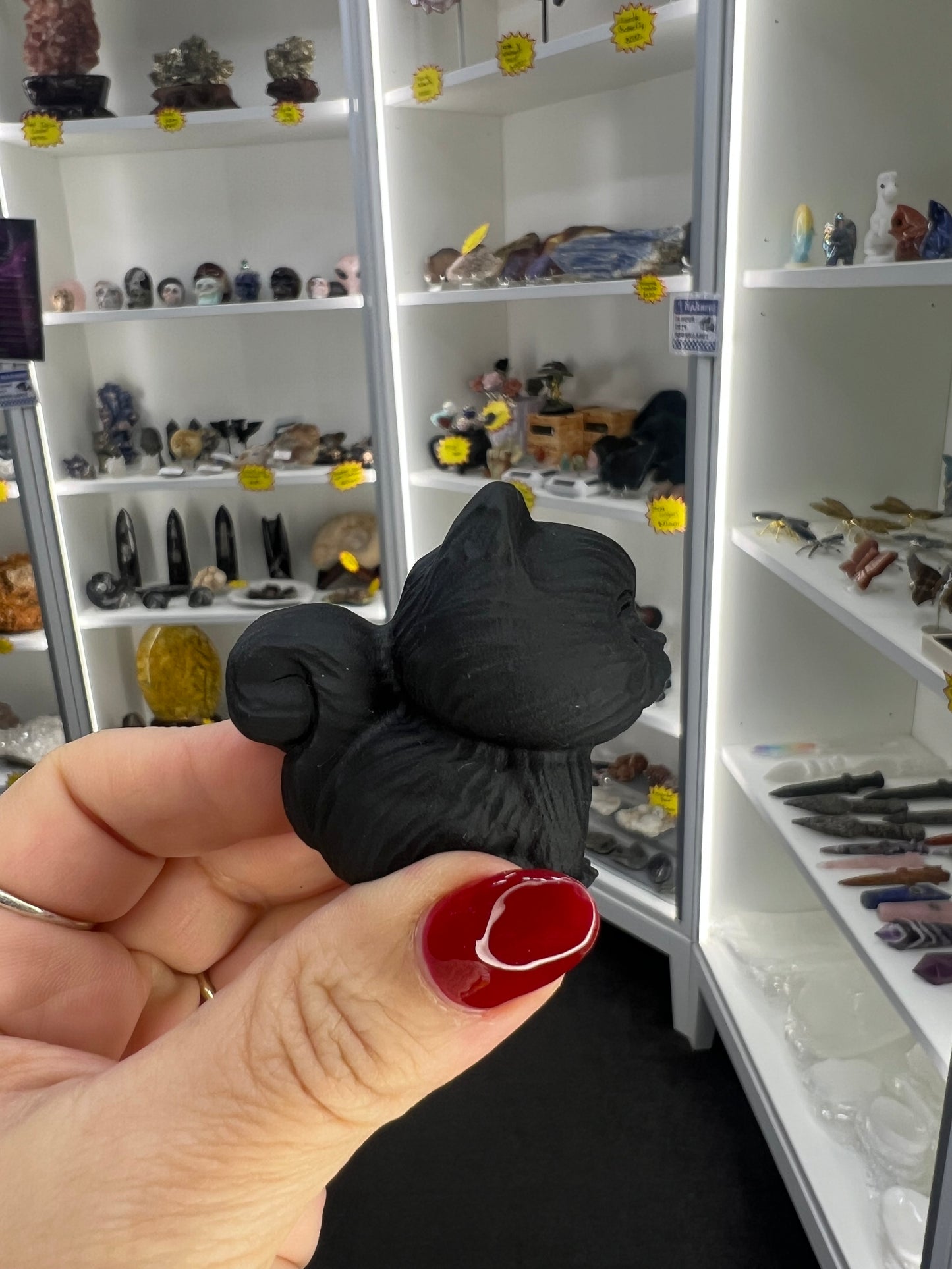 Black Obsidian Cat