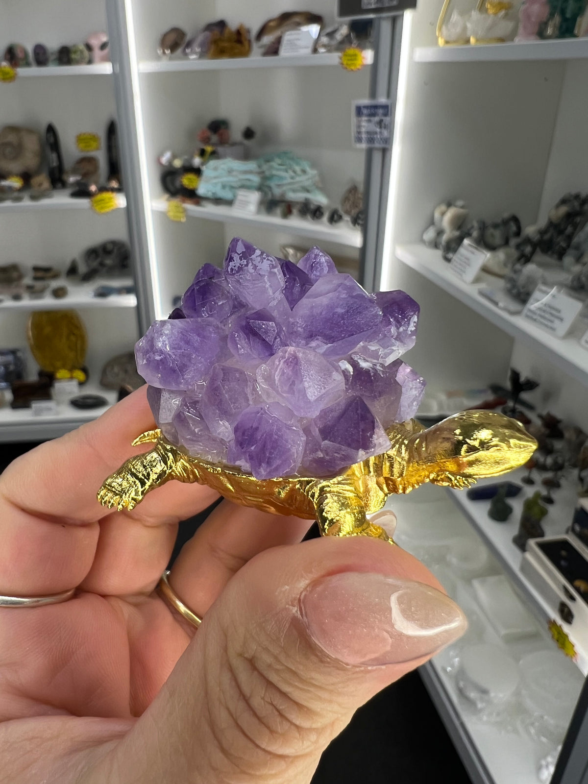 Amethyst Cluster on Gold Turtle