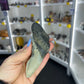 Megalodon Tooth