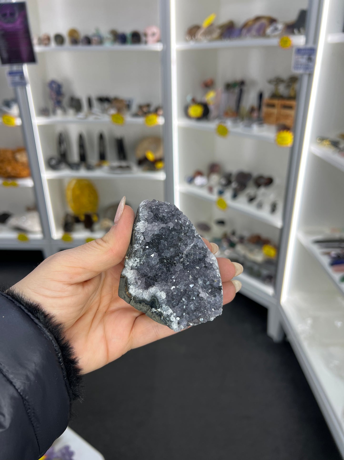 Amethyst Cluster Specimen