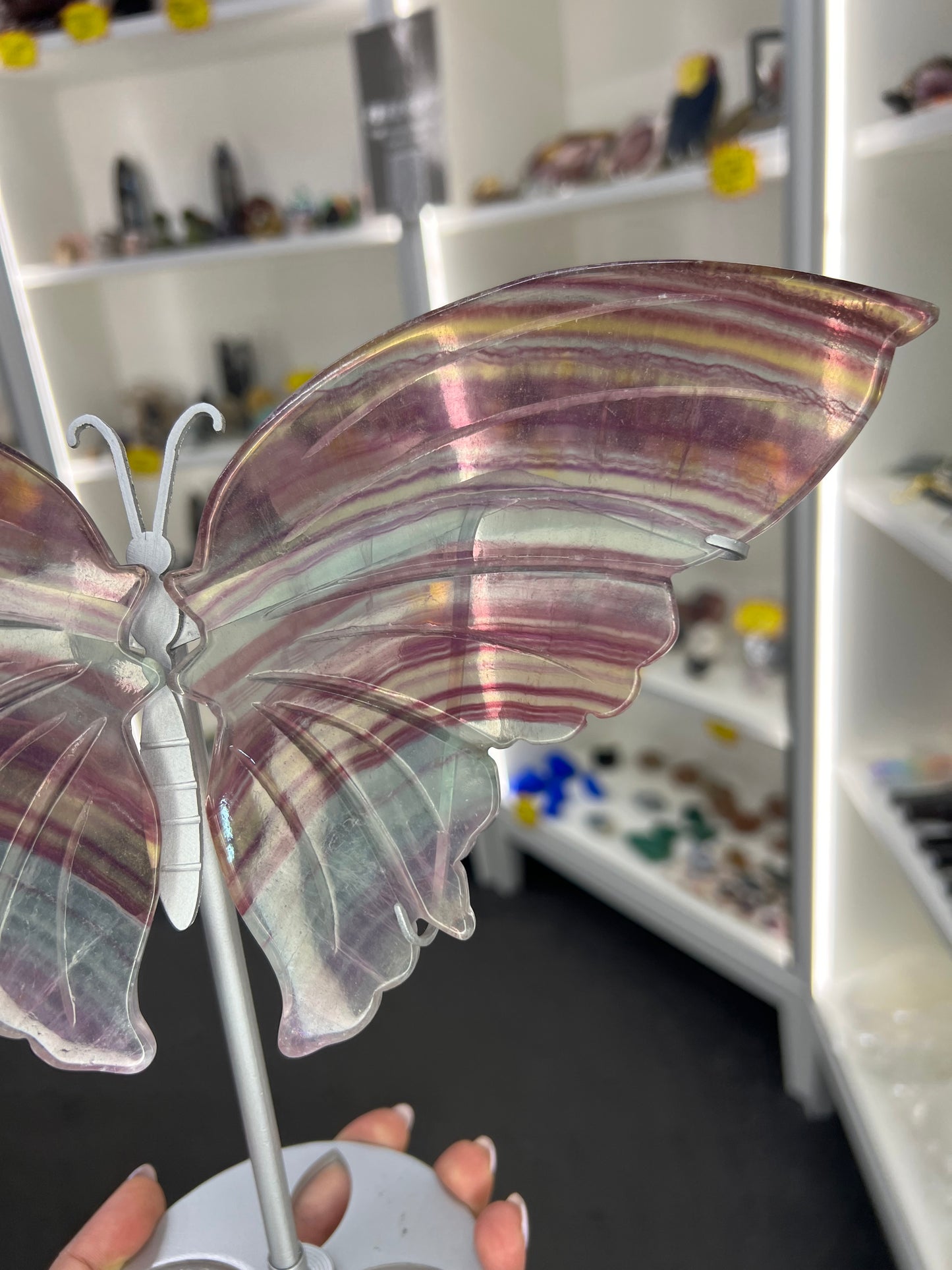 Fluorite Butterfly