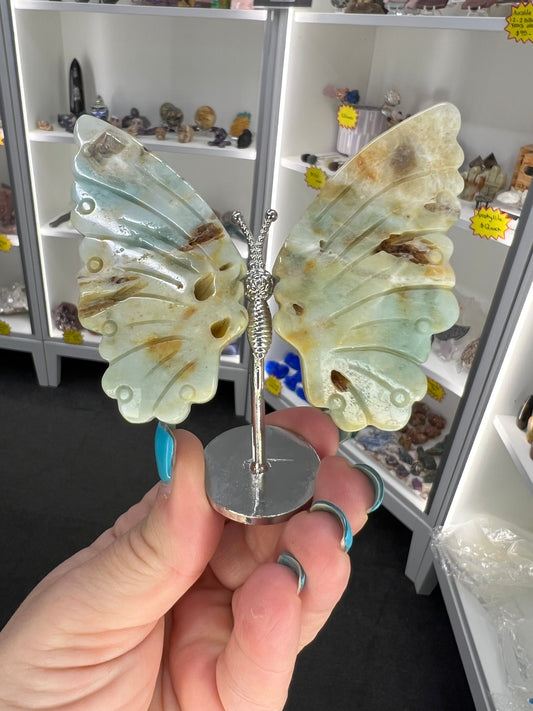 Caribbean Calcite Butterfly