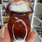 Carnelian Mushroom