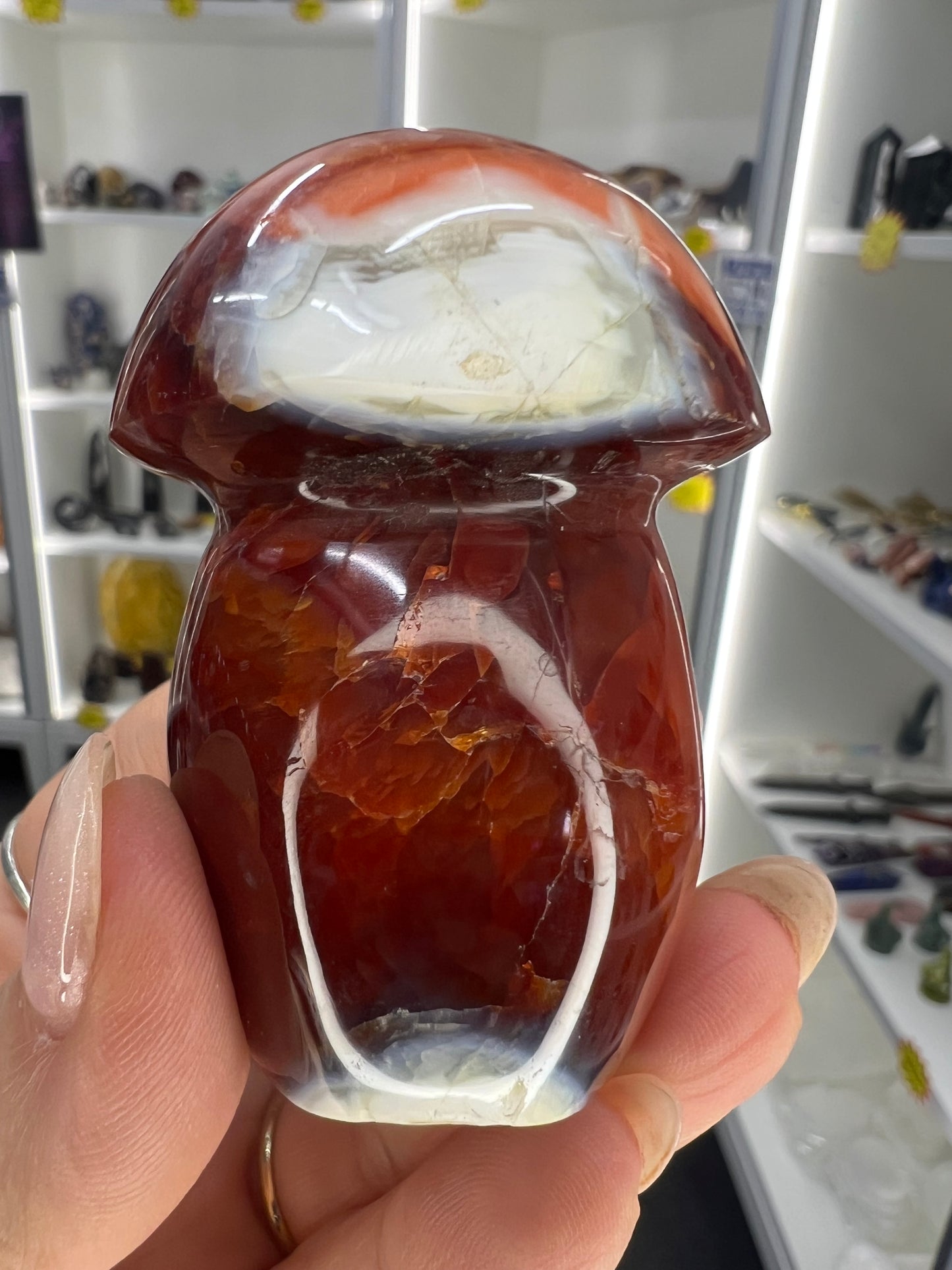 Carnelian Mushroom