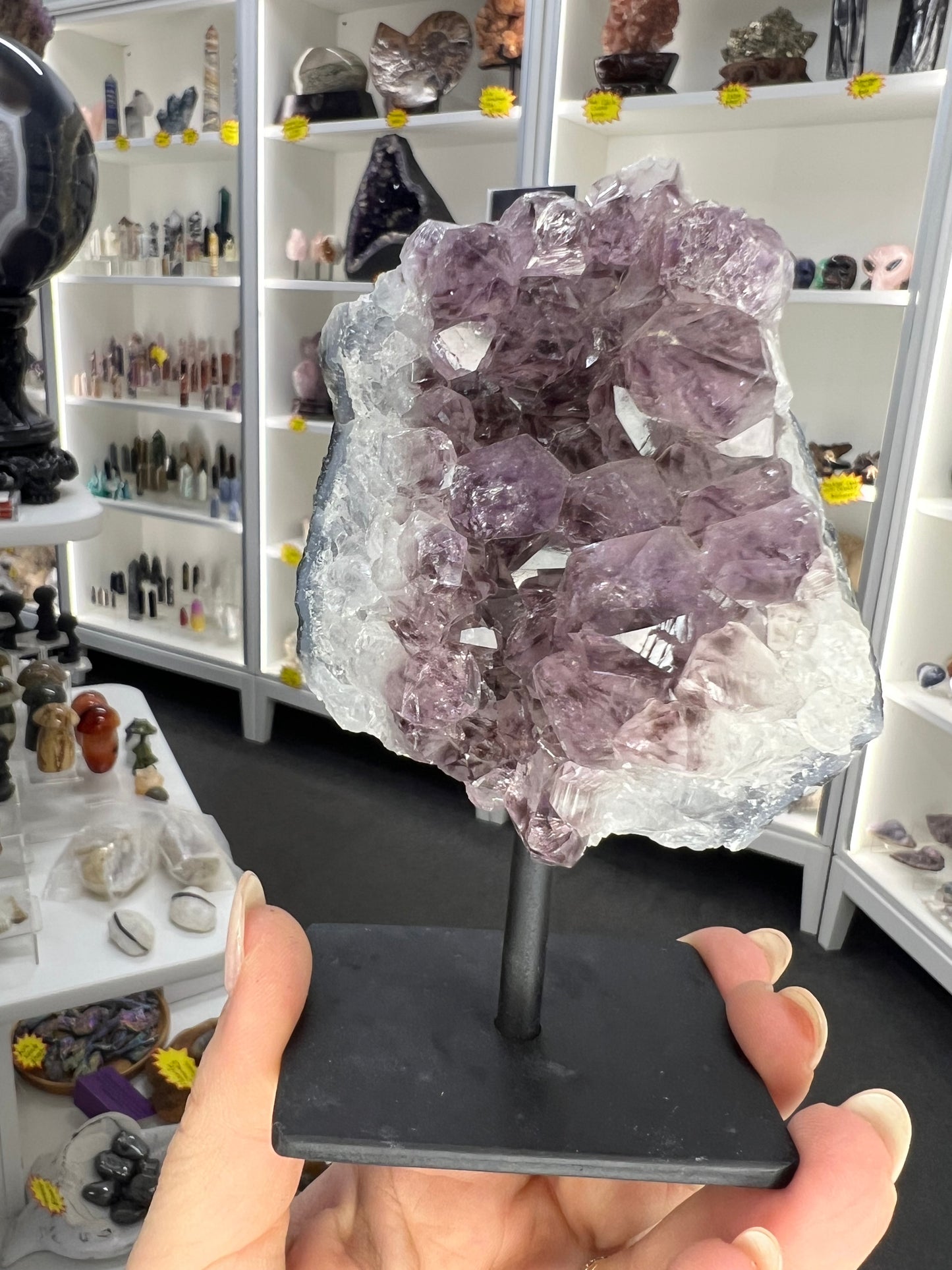 Amethyst Cluster Specimen on Stand