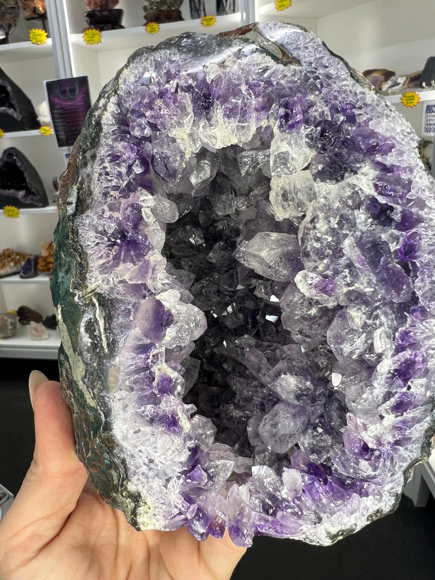 Amethyst Cluster Specimen