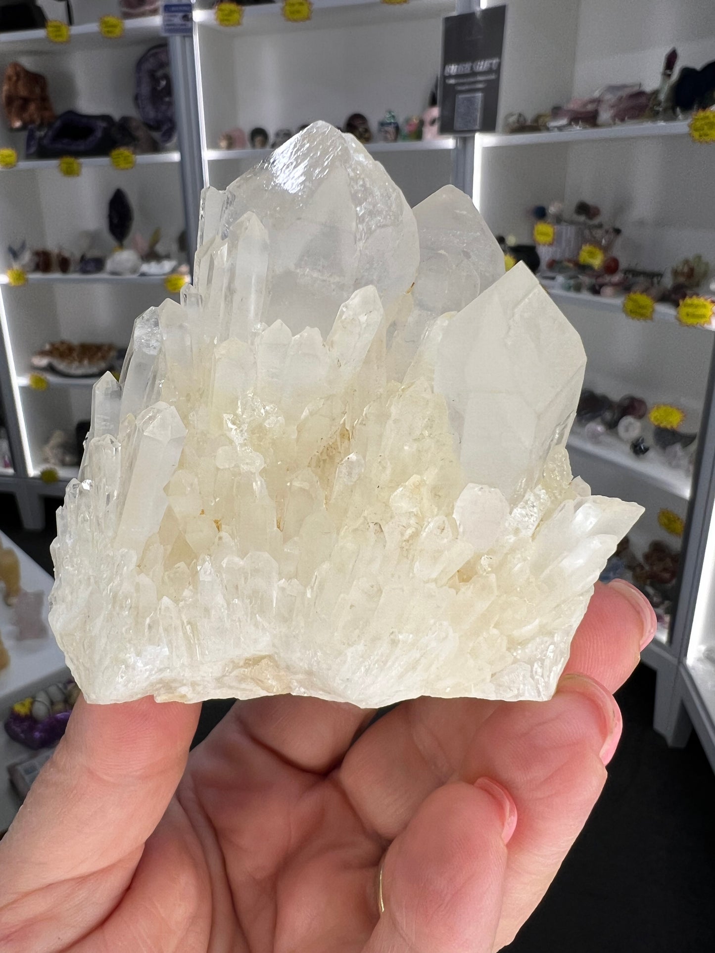 Clear Quartz Cluster