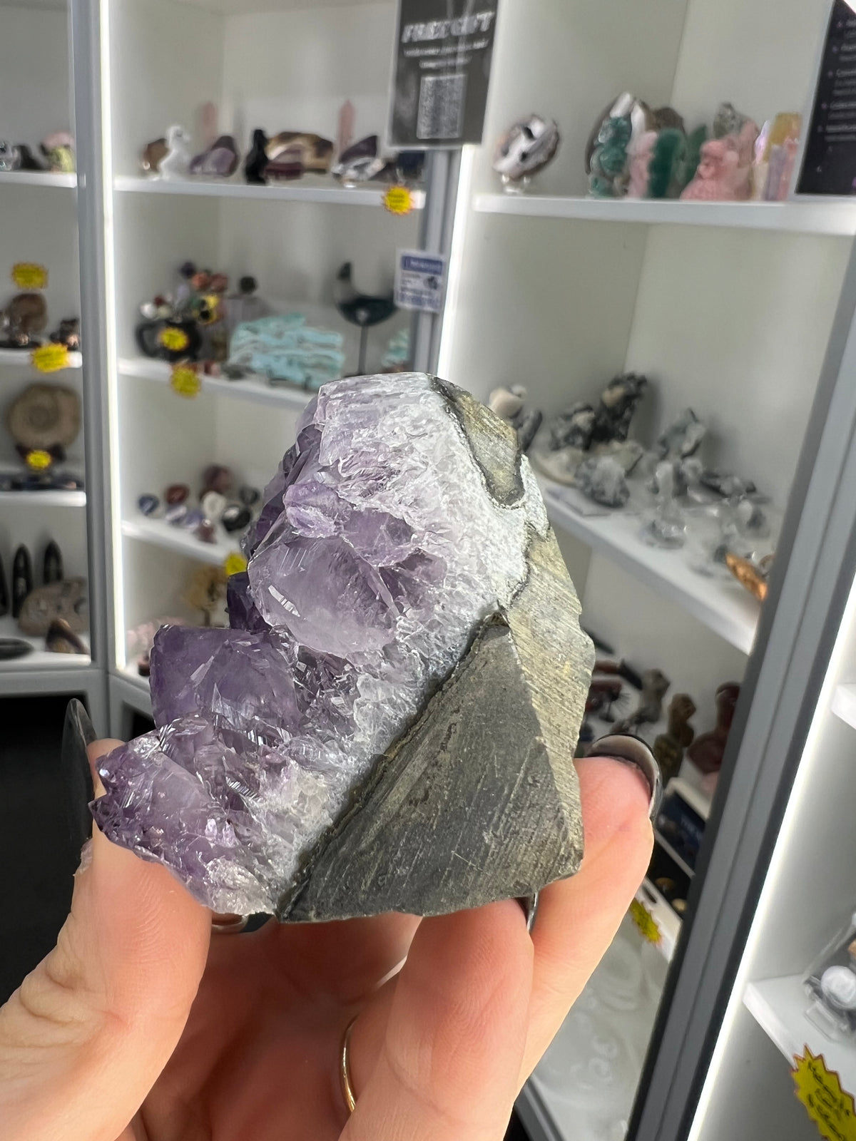 Amethyst Cluster Specimen