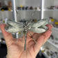 Moss Agate Dragonfly