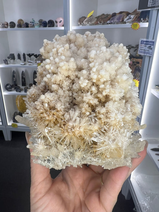 Gypsum Cluster Specimen