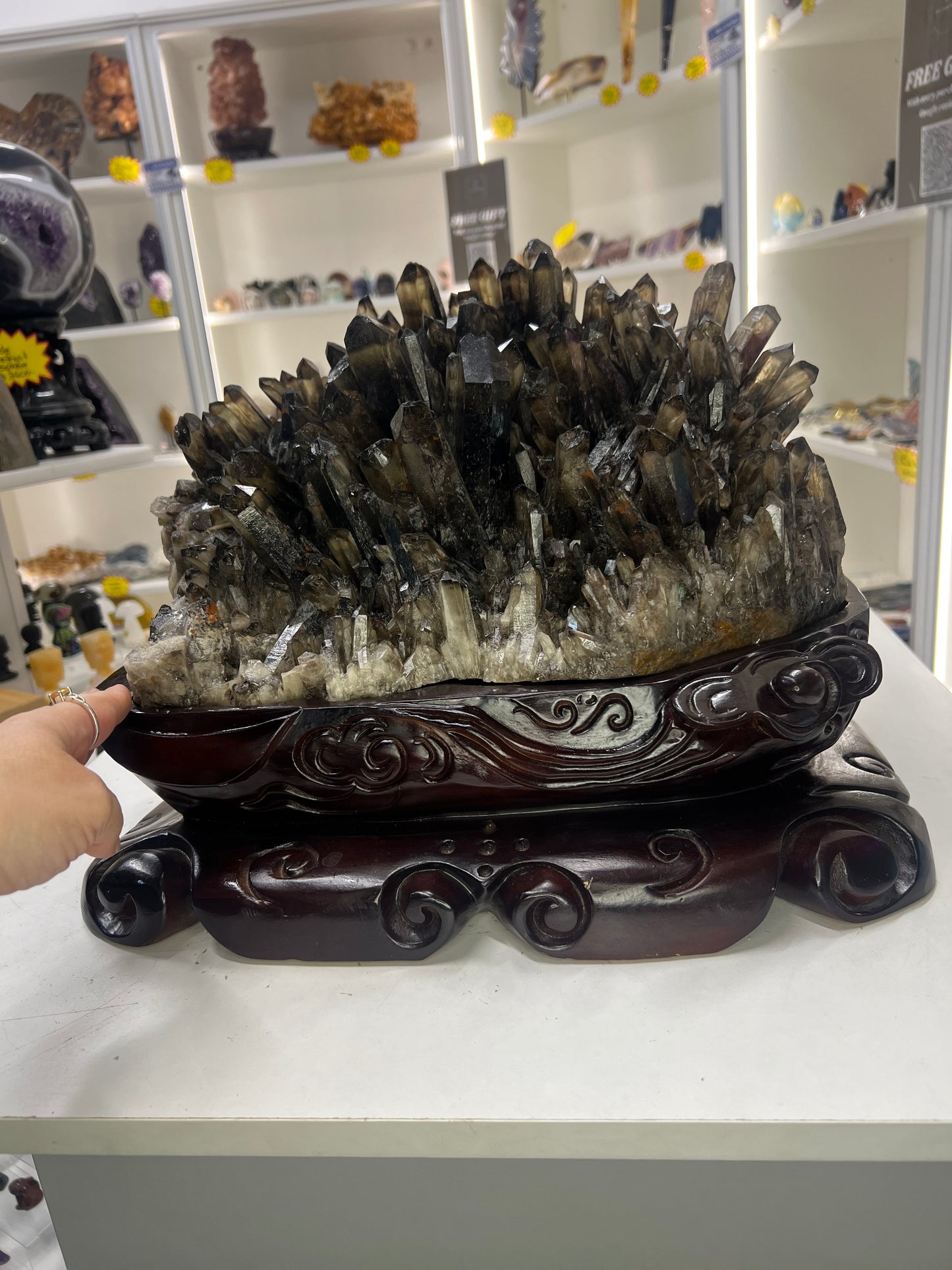 Spectacular Smoky Quartz Cluster on Custom Wooden Stand