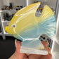 Onyx Fish