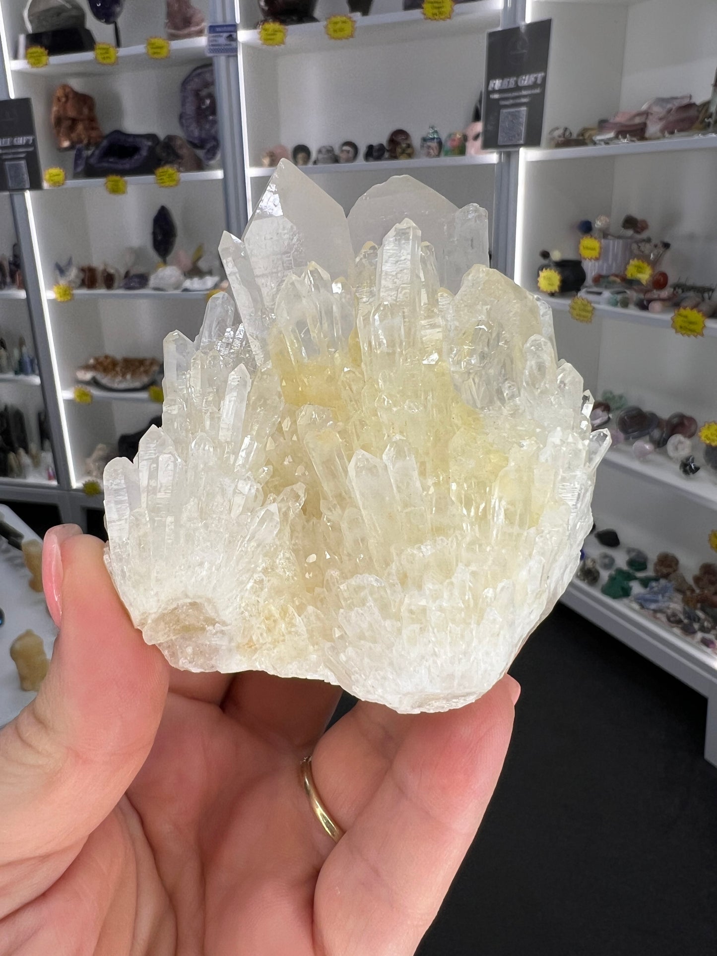Clear Quartz Cluster