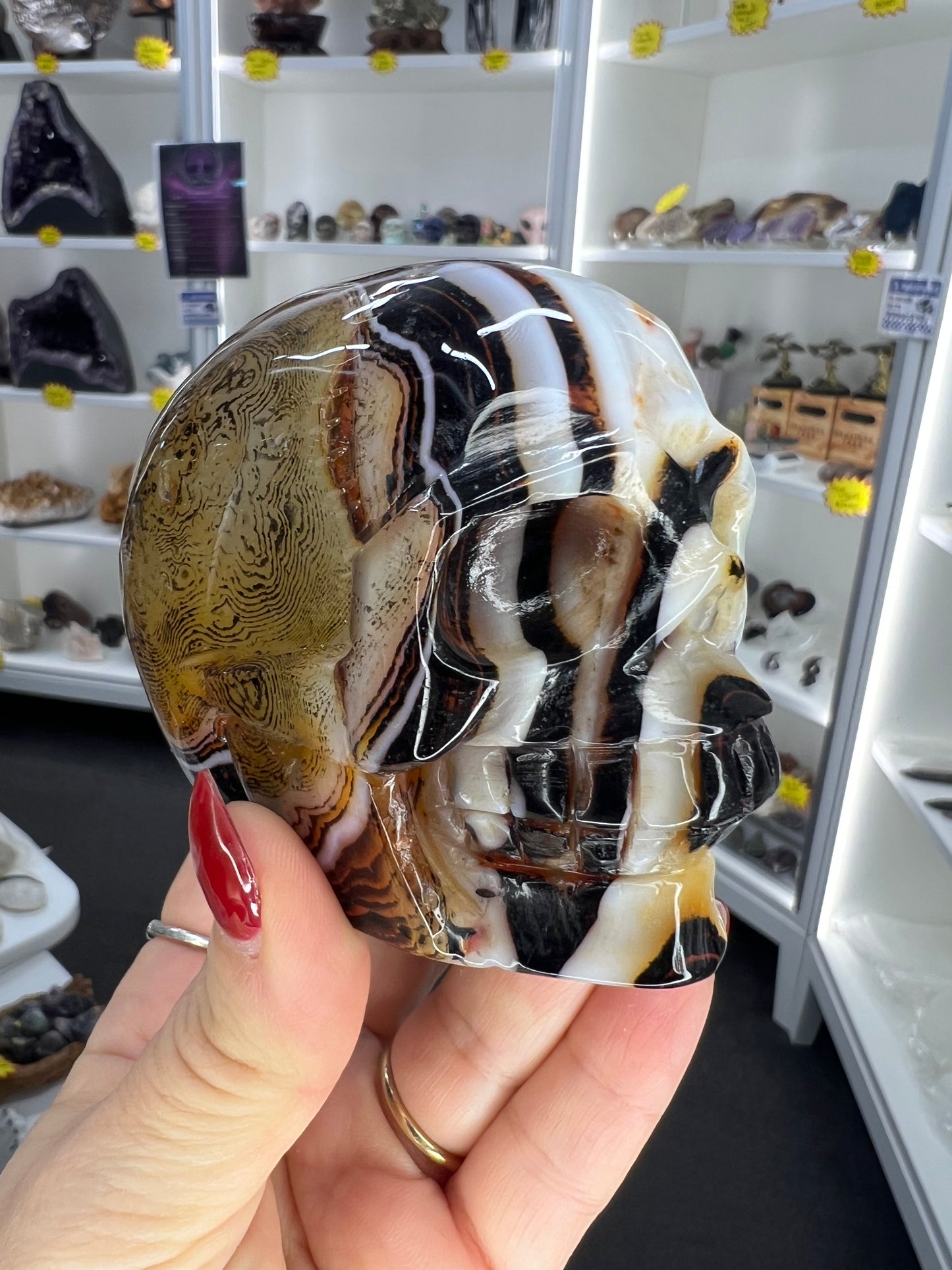 Sardonyx Skull