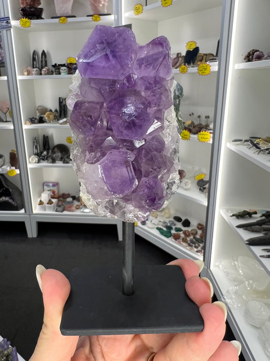 Amethyst Cluster on Stand